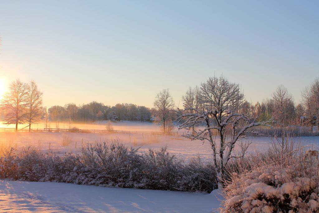 Höhällets Lantliga Rum Värnamo Exterior foto